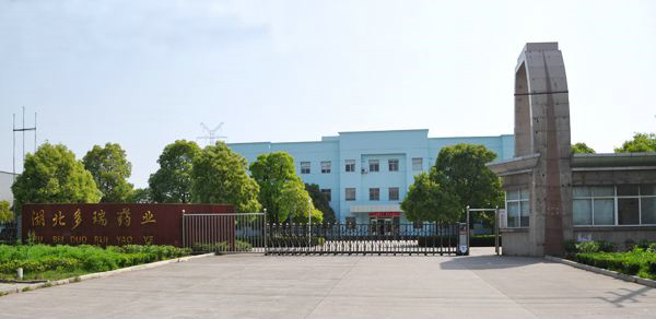 Hubei Duorui Pharmaceutical Co., Ltd