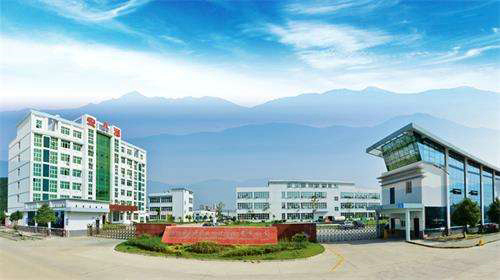 Hubei Hongyuan Pharmaceutical Co., Ltd