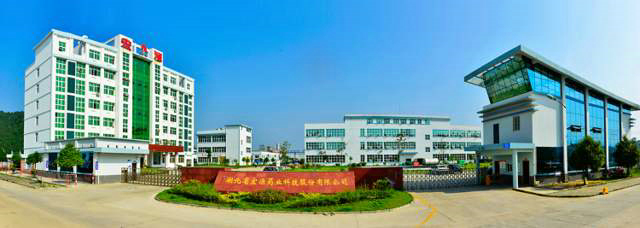 Hubei Hongyuan Pharmaceutical Co., Ltd